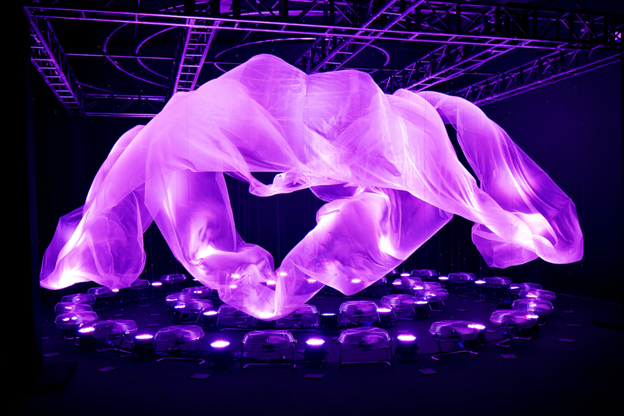 Instalación inmersiva | Robles Project Factory