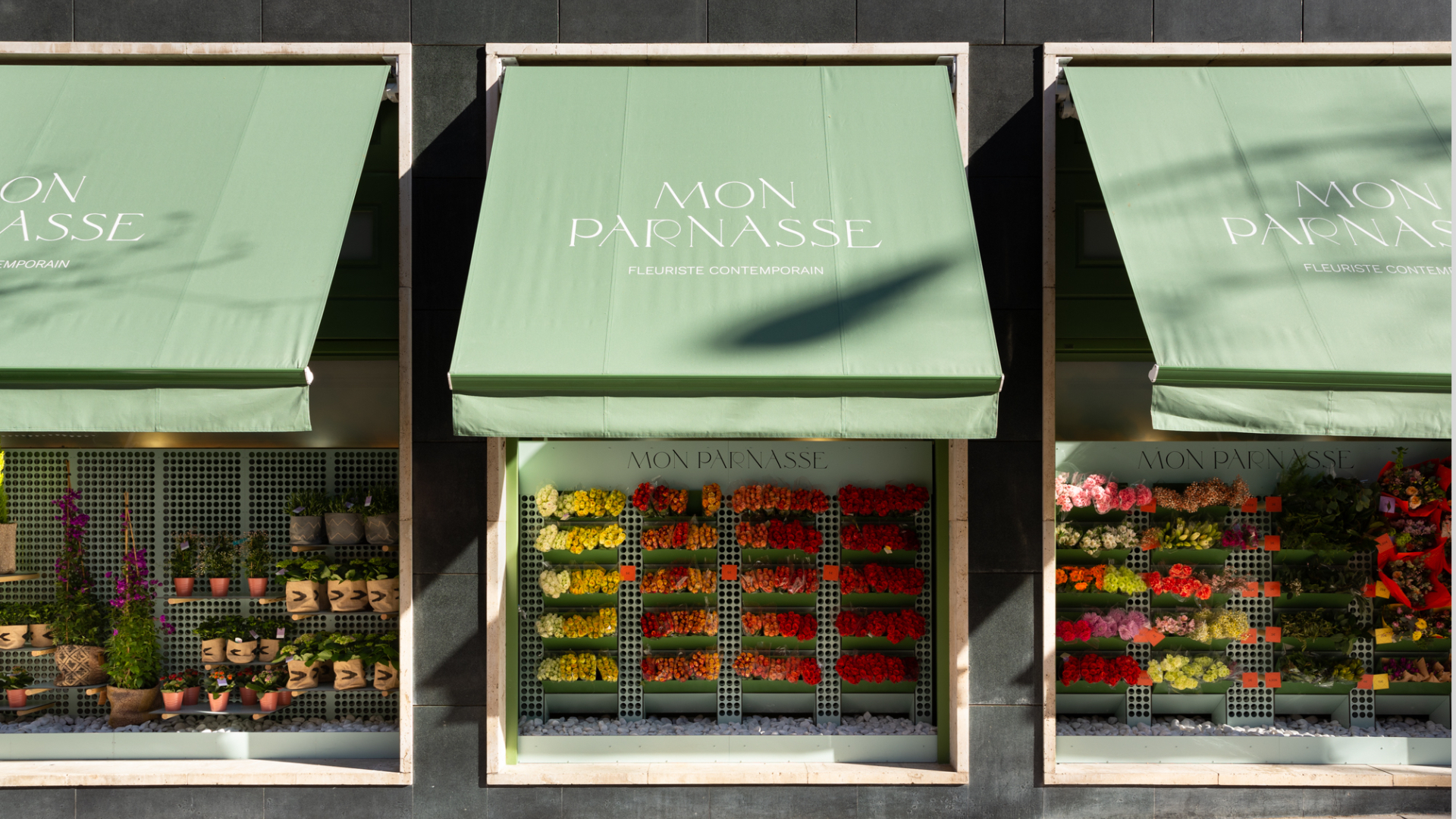 Mon Parnasse by Robles Project Factory